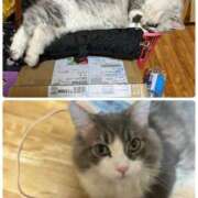 ヒメ日記 2026/03/17 19:25 投稿 えり 熟女の風俗最終章 錦糸町店