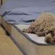 ヒメ日記 2026/03/18 17:45 投稿 えり 熟女の風俗最終章 錦糸町店