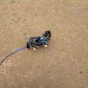 ヒメ日記 2026/03/19 11:45 投稿 えり 熟女の風俗最終章 錦糸町店