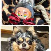 えり あれれーーっっ？！😆❤️‍🔥❤️‍🔥 熟女の風俗最終章 錦糸町店