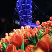 みい 出勤してます～！ 君とふわふわプリンセスin立川