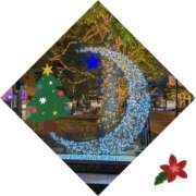 ヒメ日記 2025/11/30 23:21 投稿 なるみ デリトップ