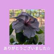 ヒメ日記 2025/12/29 22:23 投稿 なるみ デリトップ