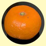 ヒメ日記 2026/01/13 18:30 投稿 なるみ デリトップ