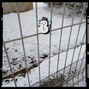 ヒメ日記 2026/02/08 23:33 投稿 なるみ デリトップ