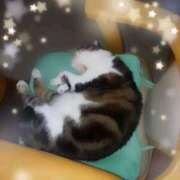 ヒメ日記 2026/03/02 00:16 投稿 なるみ デリトップ