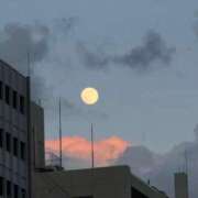 ヒメ日記 2026/01/04 09:26 投稿 浜崎まゆみ アラフォーna奥様 アラフィフna奥様（埼玉ハレ系）