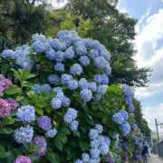 ヒメ日記 2026/06/10 16:06 投稿 浜崎まゆみ アラフォーna奥様 アラフィフna奥様（埼玉ハレ系）