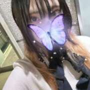 ヒメ日記 2026/01/08 04:45 投稿 さつき 子猫カフェ 小倉店