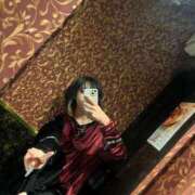 ヒメ日記 2026/01/10 04:45 投稿 さつき 子猫カフェ 小倉店