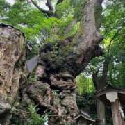 一ノ瀬 🌻7月の🈳枠🌻 サブマリン