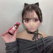 ヒメ日記 2025/12/26 16:36 投稿 ましゅ 変態なんでも鑑定団