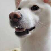 あい 実家暮らしのため オトナ女子倶楽部