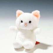 ヒメ日記 2025/12/09 09:39 投稿 あい オトナ女子倶楽部