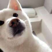 ヒメ日記 2025/12/10 07:39 投稿 あい オトナ女子倶楽部