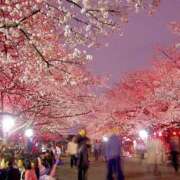 あいな 4月🌸出勤 沼津人妻花壇