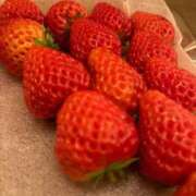 ヒメ日記 2026/03/19 14:36 投稿 ゆら 新潟デリヘル倶楽部