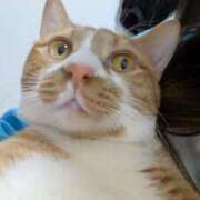 めろ まだまだ チュッパリップス川崎in武蔵小杉