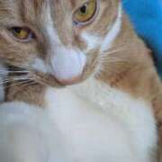 ヒメ日記 2026/02/14 04:32 投稿 めろ チュッパリップス川崎in武蔵小杉