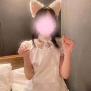 ヒメ日記 2026/03/26 01:30 投稿 日向/ひなた プロフィール 大阪店