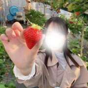 ヒメ日記 2026/04/30 23:26 投稿 日向/ひなた プロフィール 大阪店