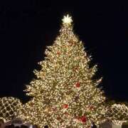 ヒメ日記 2025/12/31 12:54 投稿 香子 Arrest（アレスト）