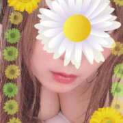 みこと ꕤ︎︎·͜· 錦センター