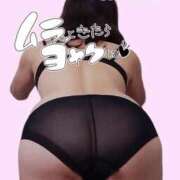 ヒメ日記 2025/12/09 23:38 投稿 あこ 熟女総本店