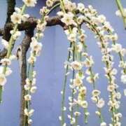 ヒメ日記 2026/02/04 21:52 投稿 あこ 熟女総本店