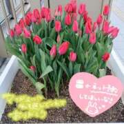 ヒメ日記 2026/02/13 15:22 投稿 あこ 熟女総本店