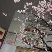 ヒメ日記 2026/03/19 19:34 投稿 あこ 熟女総本店