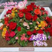 ヒメ日記 2026/05/24 15:42 投稿 あこ 熟女総本店