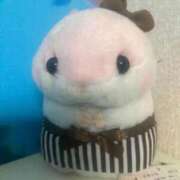 ヒメ日記 2025/12/11 01:34 投稿 脇田まき 手コキ研修塾