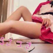 ヒメ日記 2026/02/03 10:52 投稿 さつき STAR-スター-