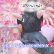 ヒメ日記 2026/02/20 12:04 投稿 さつき STAR-スター-