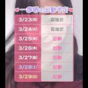 ヒメ日記 2026/03/23 22:39 投稿 らむ ハピネス＆ドリーム福岡