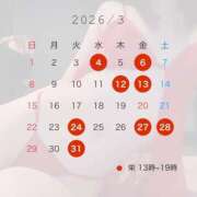 あゆか 🌸3月出勤日🌸 アラカルト