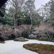 ヒメ日記 2026/03/15 19:02 投稿 あゆか アラカルト