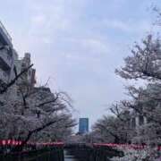 ヒメ日記 2026/04/08 14:25 投稿 あゆか アラカルト