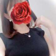 ヒメ日記 2026/02/21 10:48 投稿 蛍(ほたる) 人妻城 横浜本店