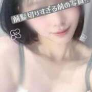 ひな やっと…/// SOPHIA（ソフィア）