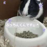 ひな おしらせ‪🥲‎ SOPHIA（ソフィア）