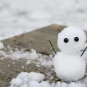 ヒメ日記 2026/01/24 09:40 投稿 布由樹-ふゆき- 人妻倶楽部 花椿大崎店