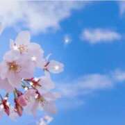 ヒメ日記 2026/02/22 12:50 投稿 布由樹-ふゆき- 人妻倶楽部 花椿大崎店