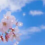 ヒメ日記 2026/03/05 17:50 投稿 布由樹-ふゆき- 人妻倶楽部 花椿大崎店