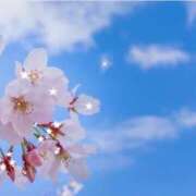 ヒメ日記 2026/03/24 12:10 投稿 布由樹-ふゆき- 人妻倶楽部 花椿大崎店