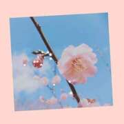 ヒメ日記 2026/04/20 23:10 投稿 布由樹-ふゆき- 人妻倶楽部 花椿大崎店