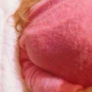 ヒメ日記 2025/12/20 11:19 投稿 さおり 太田人妻城