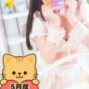 ヒメ日記 2026/06/01 22:28 投稿 ミニミニめんま にゃんだ☆full☆MIX（にゃんだふるみっくす）