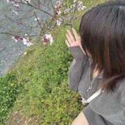 ヒメ日記 2026/04/06 16:01 投稿 紺野 まなか 絢(あや)